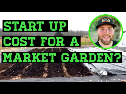 start up market